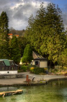 Grange Duck Pond
