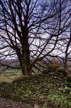 Netherhouse