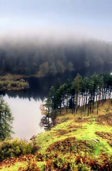 Tarn Hows Morning Mist