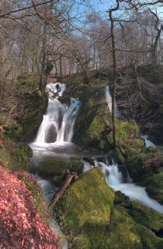 Ambleside Falls