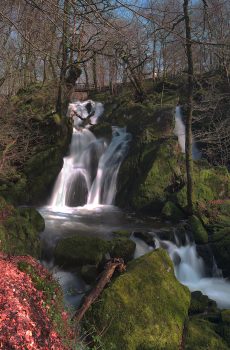 Ambleside Falls