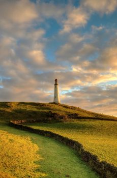 Hoad 40x20
